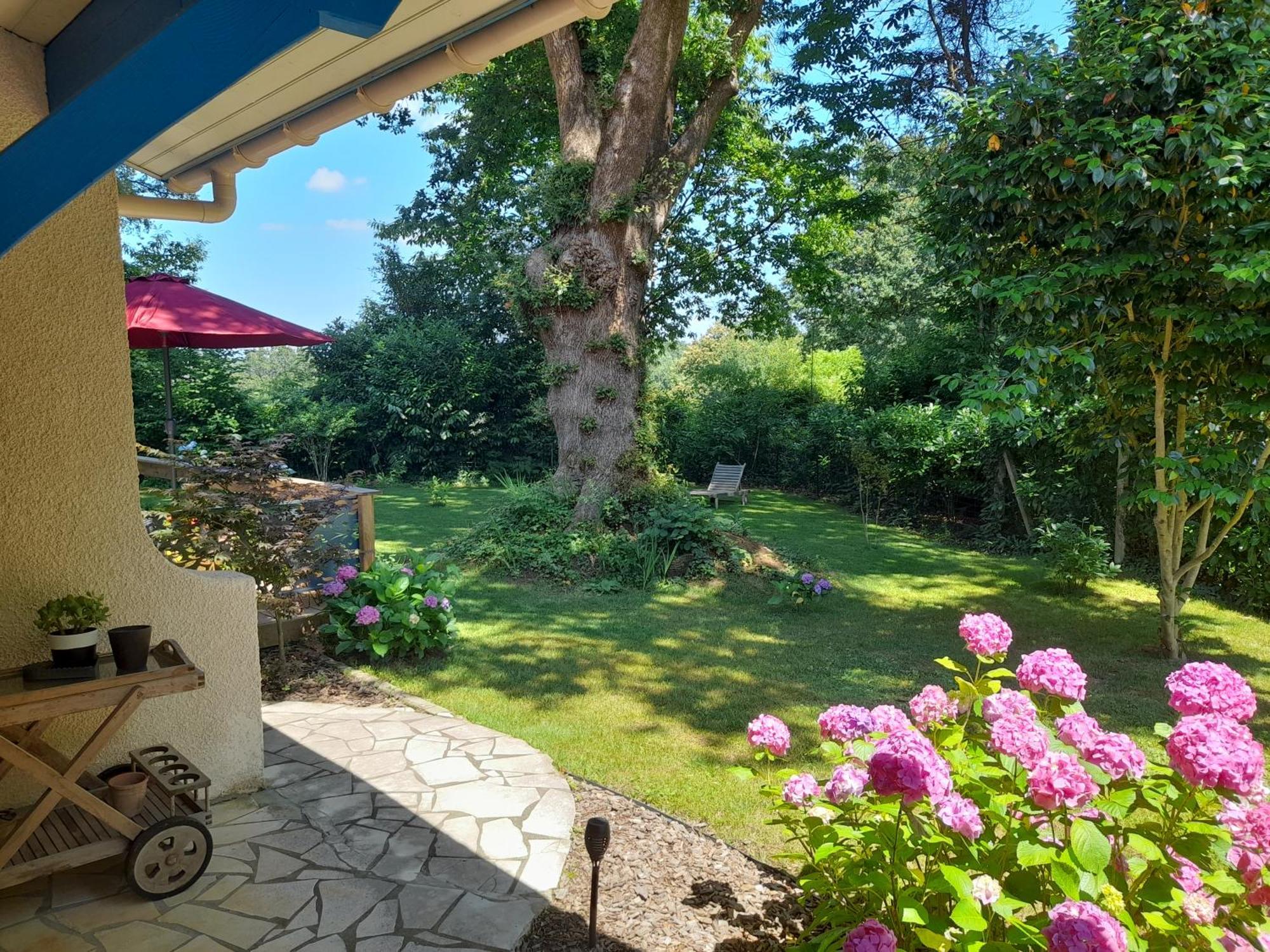 Bed and Breakfast La Clairiere Du Seignanx Saint-Martin-de-Seignanx Экстерьер фото